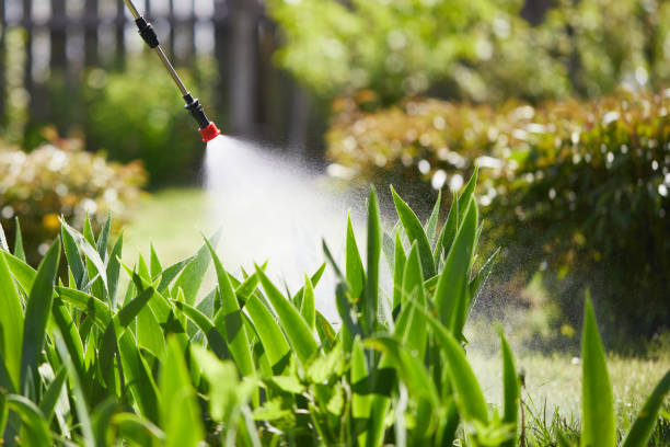 24/7 Emergency Mosquito Control experts in Canton, MS