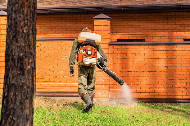 Top rated local Mosquito Control specialists in Canton, MS